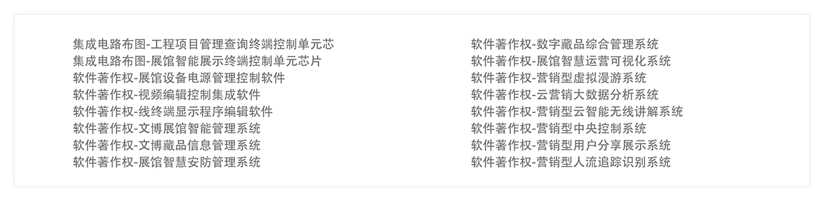 知識產(chǎn)權(quán) 02